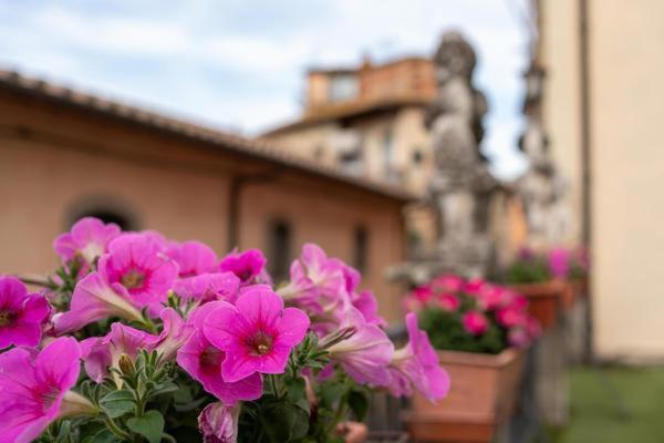 Ferienwohnung La Finestra Sul Borgo Dimora Storica Laterina Exterior foto